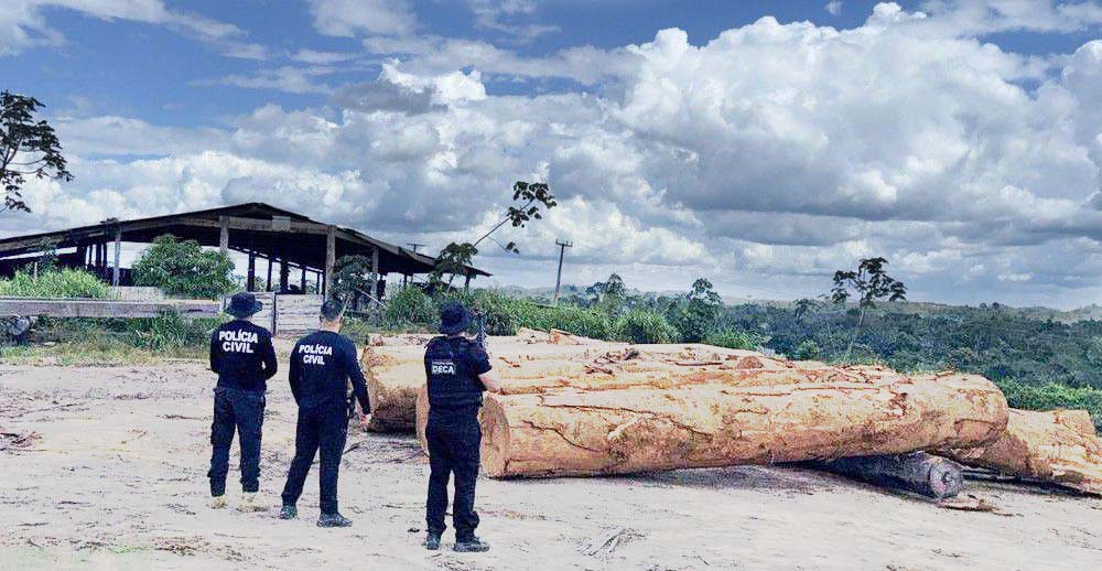 Mega Operação Apreende Mais de 600 m³ de Madeira Ilegal no Pará
