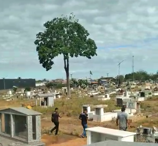 Cemitério Alvo de Vândalos em Ato de Profanação