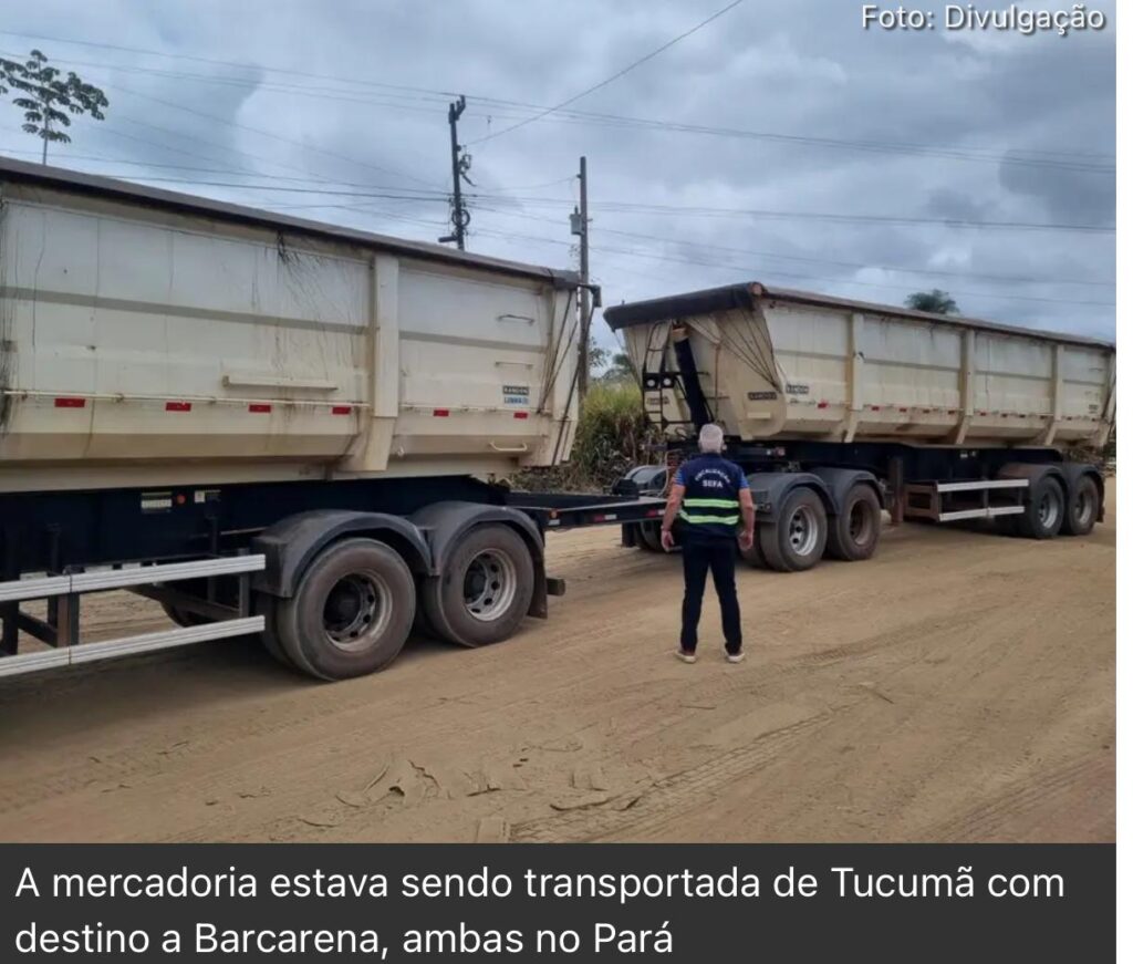 SEFA apreende 49,5 toneladas de minério de cobre em Marabá